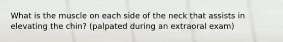 What is the muscle on each side of the neck that assists in elevating the chin? (palpated during an extraoral exam)