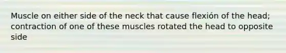 Muscle on either side of the neck that cause flexión of the head; contraction of one of these muscles rotated the head to opposite side