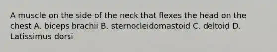 A muscle on the side of the neck that flexes the head on the chest A. biceps brachii B. sternocleidomastoid C. deltoid D. Latissimus dorsi