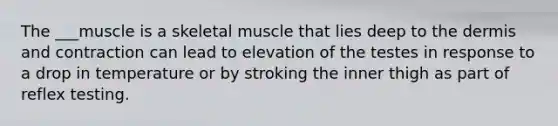 The ___muscle is a skeletal muscle that lies deep to the dermis and contraction can lead to elevation of the testes in response to a drop in temperature or by stroking the inner thigh as part of reflex testing.