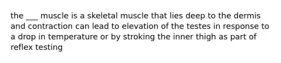 the ___ muscle is a skeletal muscle that lies deep to the dermis and contraction can lead to elevation of the testes in response to a drop in temperature or by stroking the inner thigh as part of reflex testing