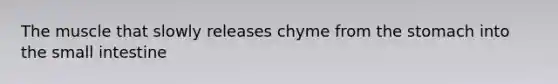 The muscle that slowly releases chyme from the stomach into the small intestine