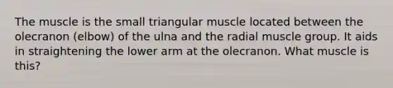 The muscle is the small triangular muscle located between the olecranon (elbow) of the ulna and the radial muscle group. It aids in straightening the lower arm at the olecranon. What muscle is this?