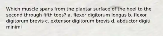 Which muscle spans from the plantar surface of the heel to the second through fifth toes? a. flexor digitorum longus b. flexor digitorum brevis c. extensor digitorum brevis d. abductor digiti minimi