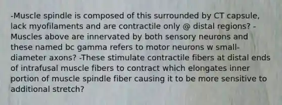 -Muscle spindle is composed of this surrounded by CT capsule, lack myofilaments and are contractile only @ distal regions? -Muscles above are innervated by both sensory neurons and these named bc gamma refers to motor neurons w small-diameter axons? -These stimulate contractile fibers at distal ends of intrafusal muscle fibers to contract which elongates inner portion of muscle spindle fiber causing it to be more sensitive to additional stretch?