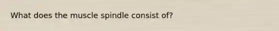 What does the muscle spindle consist of?