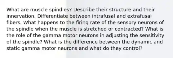 What are muscle spindles? Describe their structure and their innervation. Differentiate between intrafusal and extrafusal fibers. What happens to the firing rate of the sensory neurons of the spindle when the muscle is stretched or contracted? What is the role of the gamma motor neurons in adjusting the sensitivity of the spindle? What is the difference between the dynamic and static gamma motor neurons and what do they control?