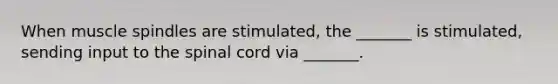When muscle spindles are stimulated, the _______ is stimulated, sending input to <a href='https://www.questionai.com/knowledge/kkAfzcJHuZ-the-spinal-cord' class='anchor-knowledge'>the spinal cord</a> via _______.