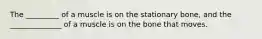 The _________ of a muscle is on the stationary bone, and the ______________ of a muscle is on the bone that moves.