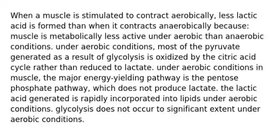 When a muscle is stimulated to contract aerobically, less lactic acid is formed than when it contracts anaerobically because: muscle is metabolically less active under aerobic than anaerobic conditions. under aerobic conditions, most of the pyruvate generated as a result of glycolysis is oxidized by the citric acid cycle rather than reduced to lactate. under aerobic conditions in muscle, the major energy-yielding pathway is the pentose phosphate pathway, which does not produce lactate. the lactic acid generated is rapidly incorporated into lipids under aerobic conditions. glycolysis does not occur to significant extent under aerobic conditions.