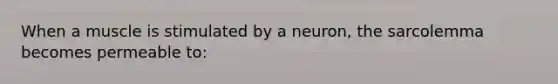 When a muscle is stimulated by a neuron, the sarcolemma becomes permeable to: