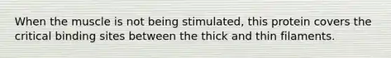 When the muscle is not being stimulated, this protein covers the critical binding sites between the thick and thin filaments.