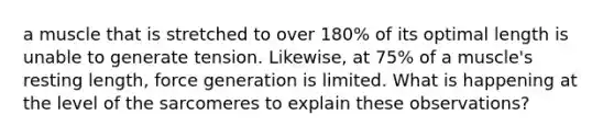 a muscle that is stretched to over 180% of its optimal length is unable to generate tension. Likewise, at 75% of a muscle's resting length, force generation is limited. What is happening at the level of the sarcomeres to explain these observations?