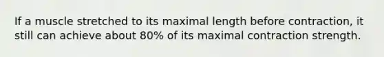 If a muscle stretched to its maximal length before contraction, it still can achieve about 80% of its maximal contraction strength.​