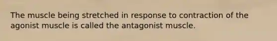 The muscle being stretched in response to contraction of the agonist muscle is called the antagonist muscle.