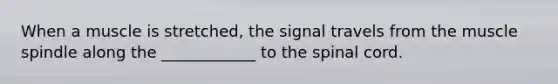 When a muscle is stretched, the signal travels from the muscle spindle along the ____________ to the spinal cord.