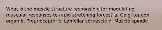 What is the muscle structure responsible for modulating muscular responses to rapid stretching forces? a. Golgi tendon organ b. Proprioceptor c. Lamellar corpuscle d. Muscle spindle