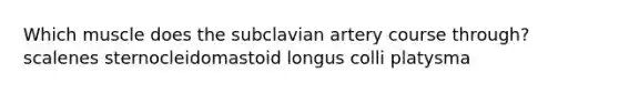 Which muscle does the subclavian artery course through? scalenes sternocleidomastoid longus colli platysma