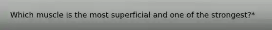 Which muscle is the most superficial and one of the strongest?*