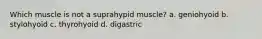 Which muscle is not a suprahypid muscle? a. geniohyoid b. stylohyoid c. thyrohyoid d. digastric