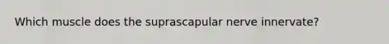 Which muscle does the suprascapular nerve innervate?