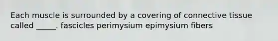 Each muscle is surrounded by a covering of connective tissue called _____. fascicles perimysium epimysium fibers