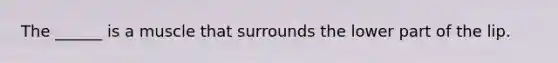 The ______ is a muscle that surrounds the lower part of the lip.