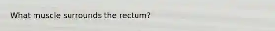 What muscle surrounds the rectum?