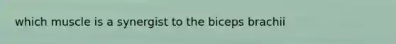 which muscle is a synergist to the biceps brachii