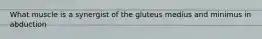 What muscle is a synergist of the gluteus medius and minimus in abduction