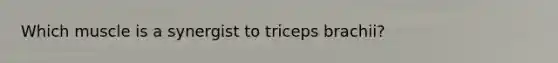 Which muscle is a synergist to triceps brachii?