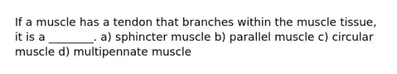 If a muscle has a tendon that branches within the <a href='https://www.questionai.com/knowledge/kMDq0yZc0j-muscle-tissue' class='anchor-knowledge'>muscle tissue</a>, it is a ________. a) sphincter muscle b) parallel muscle c) circular muscle d) multipennate muscle