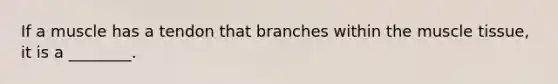If a muscle has a tendon that branches within the muscle tissue, it is a ________.