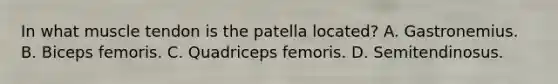 In what muscle tendon is the patella located? A. Gastronemius. B. Biceps femoris. C. Quadriceps femoris. D. Semitendinosus.