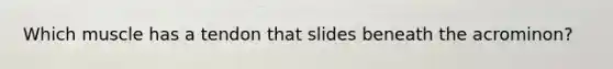 Which muscle has a tendon that slides beneath the acrominon?
