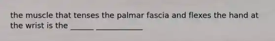 the muscle that tenses the palmar fascia and flexes the hand at the wrist is the ______ ____________