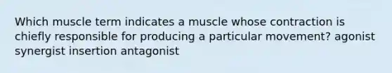 Which muscle term indicates a muscle whose contraction is chiefly responsible for producing a particular movement? agonist synergist insertion antagonist