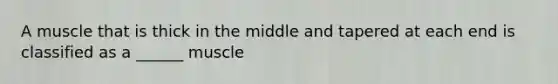 A muscle that is thick in the middle and tapered at each end is classified as a ______ muscle