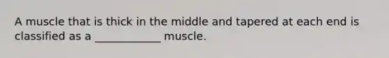 A muscle that is thick in the middle and tapered at each end is classified as a ____________ muscle.