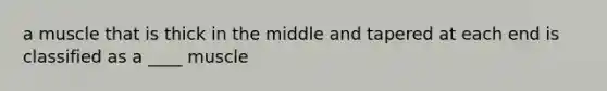 a muscle that is thick in the middle and tapered at each end is classified as a ____ muscle