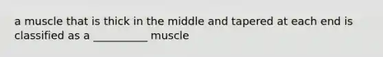 a muscle that is thick in the middle and tapered at each end is classified as a __________ muscle