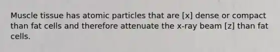 Muscle tissue has atomic particles that are [x] dense or compact than fat cells and therefore attenuate the x-ray beam [z] than fat cells.