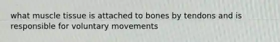 what muscle tissue is attached to bones by tendons and is responsible for voluntary movements