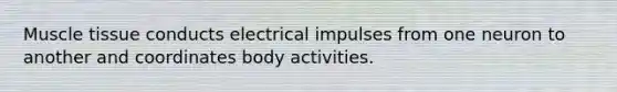 Muscle tissue conducts electrical impulses from one neuron to another and coordinates body activities.