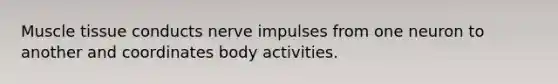 <a href='https://www.questionai.com/knowledge/kMDq0yZc0j-muscle-tissue' class='anchor-knowledge'>muscle tissue</a> conducts nerve impulses from one neuron to another and coordinates body activities.