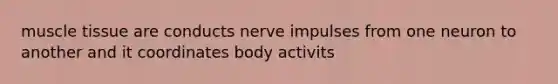 muscle tissue are conducts nerve impulses from one neuron to another and it coordinates body activits