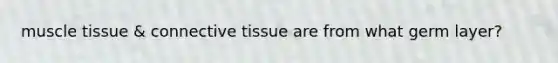 muscle tissue & connective tissue are from what germ layer?