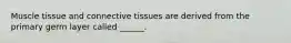 Muscle tissue and connective tissues are derived from the primary germ layer called ______.