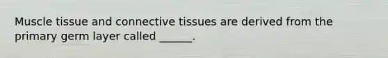 Muscle tissue and connective tissues are derived from the primary germ layer called ______.