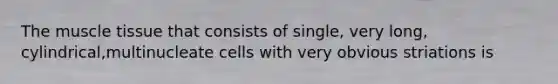 The muscle tissue that consists of single, very long, cylindrical,multinucleate cells with very obvious striations is